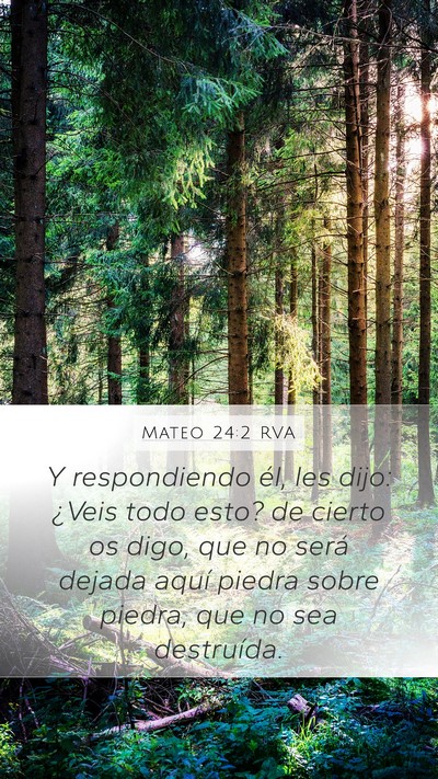 Mateo 24:2 RVA Bible Verse Image