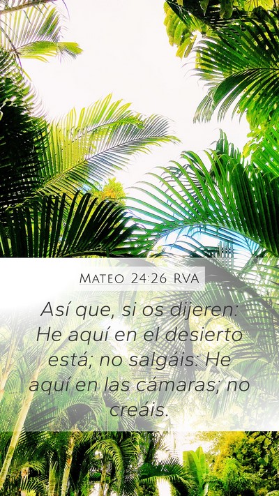 Mateo 24:26 RVA Mobile Phone Wallpaper - Así que, si os dijeren: He aquí en el desierto - Mobile Bible Verse Wallpaper