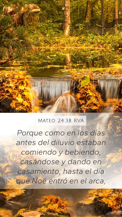 Mateo 24:38 RVA Bible Verse Image