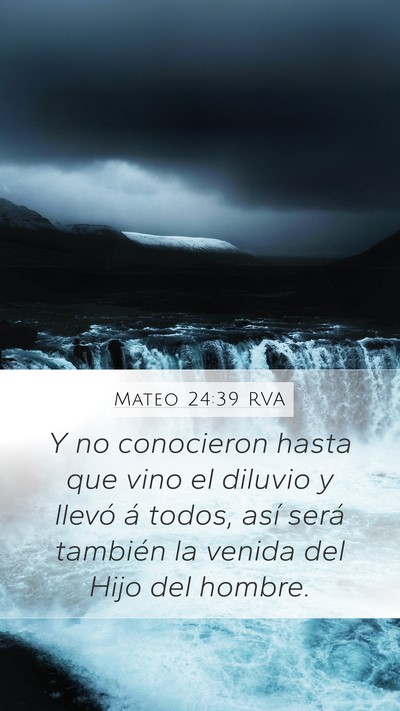 Mateo 24:39 RVA Bible Verse Image