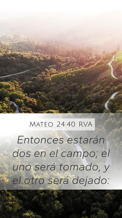 Mateo 24:40 RVA Mobile Phone Wallpaper - Entonces estarán dos en el campo; el uno será - Mobile Bible Verse Wallpaper