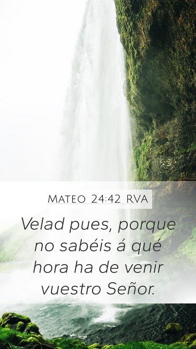 Mateo 24:42 RVA Mobile Phone Wallpaper - Velad pues, porque no sabéis á qué hora ha de - Mobile Bible Verse Wallpaper