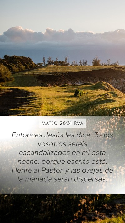 Mateo 26:31 RVA Bible Verse Image