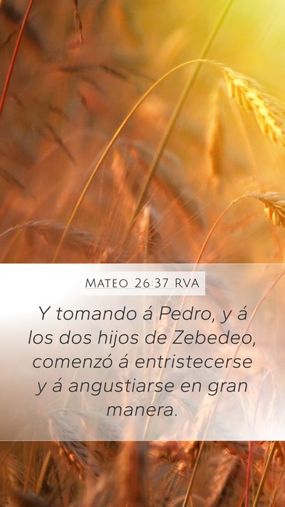 Mateo 26:37 RVA Bible Verse Image
