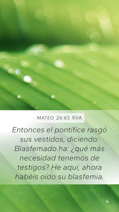 Mateo 26:65 RVA Bible Verse Image