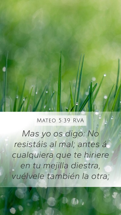 Mateo 5:39 RVA Bible Verse Image