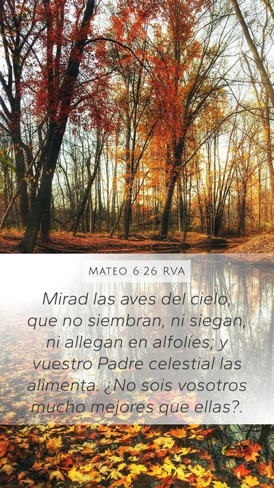 Mateo 6:26 RVA Bible Verse Image