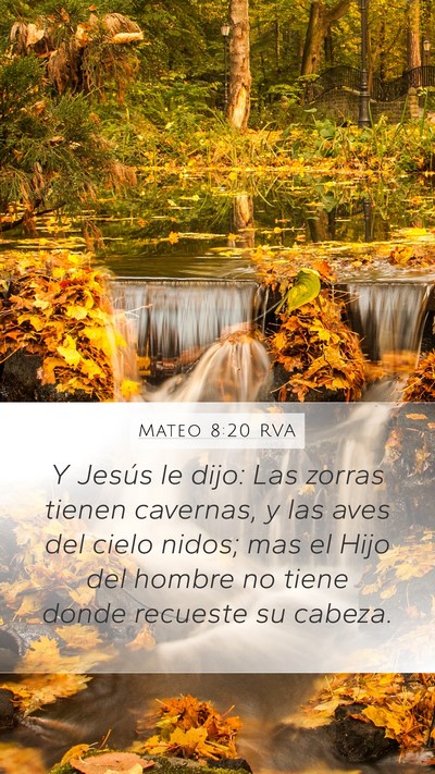 Mateo 8:20 RVA Bible Verse Image