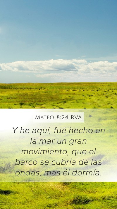 Mateo 8:24 RVA Bible Verse Image