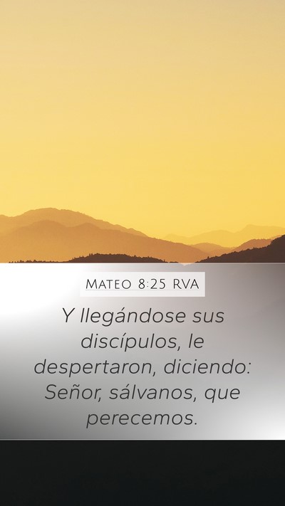 Mateo 8:25 RVA Bible Verse Image