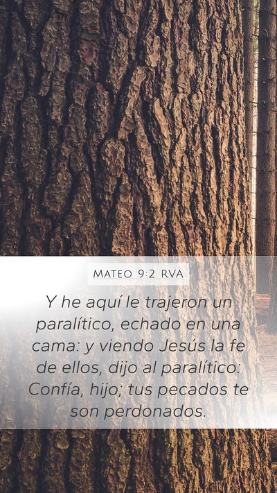 Mateo 9:2 RVA Bible Verse Image