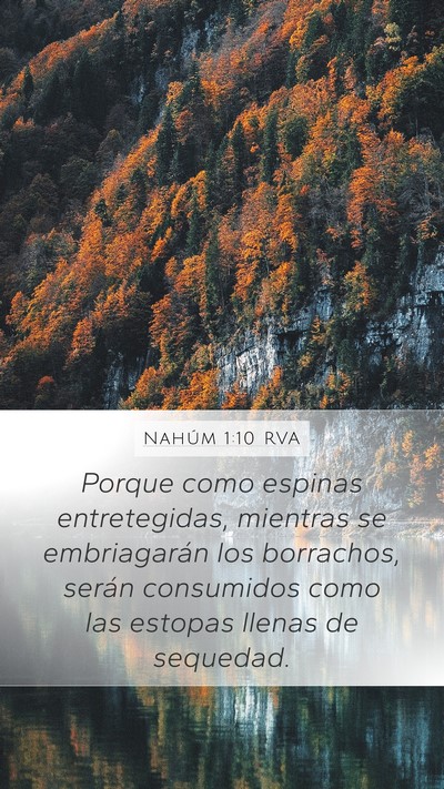 Nahúm 1:10 RVA Bible Verse Image