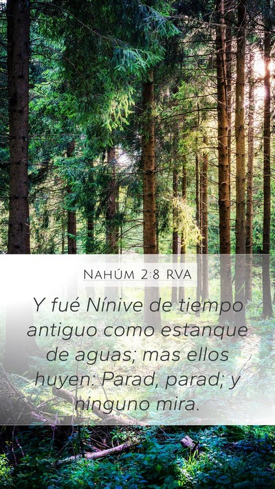 Nahúm 2:8 RVA Bible Verse Image