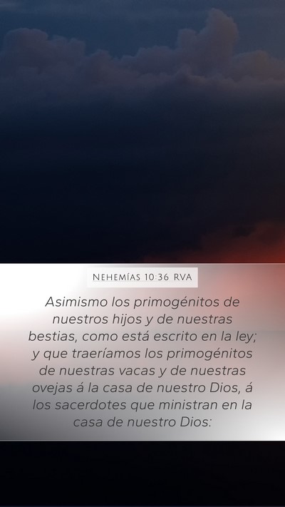 Nehemías 10:36 RVA Mobile Phone Wallpaper - Asimismo los primogénitos de nuestros hijos y de - Mobile Bible Verse Wallpaper