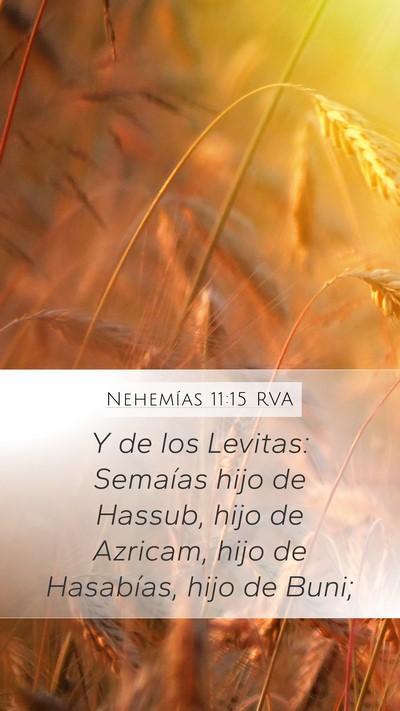 Nehemías 11:15 RVA Bible Verse Image