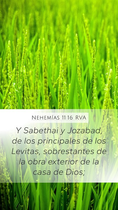Nehemías 11:16 RVA Bible Verse Image