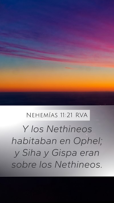 Nehemías 11:21 RVA Bible Verse Image