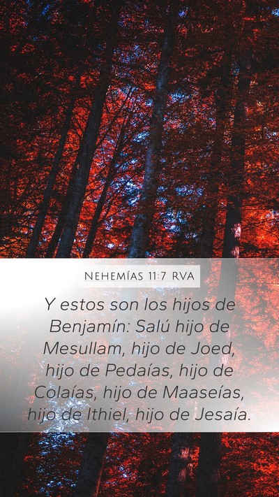 Nehemías 11:7 RVA Bible Verse Image