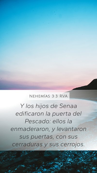 Nehemías 3:3 RVA Bible Verse Image