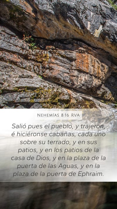 Nehemías 8:16 RVA Mobile Phone Wallpaper - Salió pues el pueblo, y trajeron, é hiciéronse - Mobile Bible Verse Wallpaper