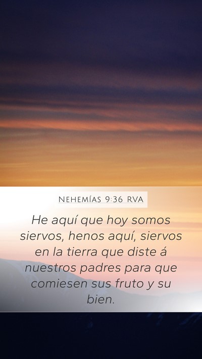 Nehemías 9:36 RVA Bible Verse Image