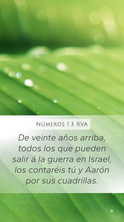 Números 1:3 RVA Bible Verse Image