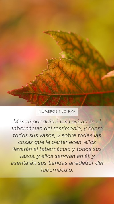 Números 1:50 RVA Bible Verse Image