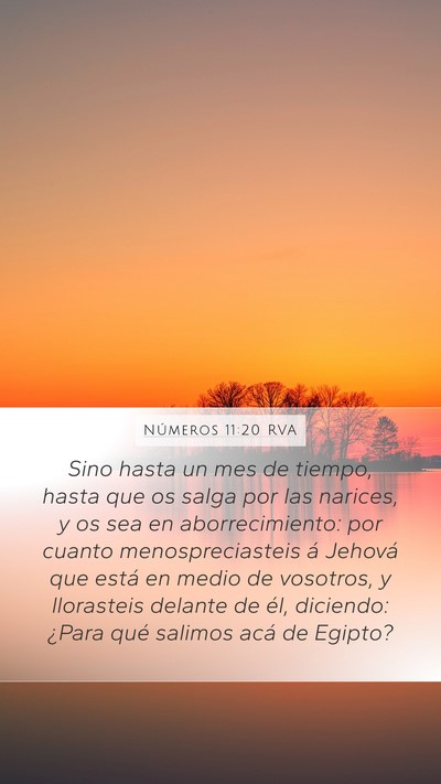 Números 11:20 RVA Mobile Phone Wallpaper - Sino hasta un mes de tiempo, hasta que os salga - Mobile Bible Verse Wallpaper