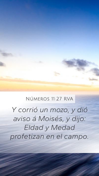 Números 11:27 RVA Mobile Phone Wallpaper - Y corrió un mozo, y dió aviso á Moisés, y - Mobile Bible Verse Wallpaper