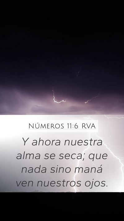 Números 11:6 RVA Mobile Phone Wallpaper - Y ahora nuestra alma se seca; que nada sino maná - Mobile Bible Verse Wallpaper