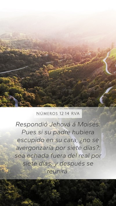 Números 12:14 RVA Bible Verse Image