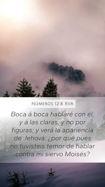 Números 12:8 RVA Mobile Phone Wallpaper - Boca á boca hablaré con él, y á las claras, y - Mobile Bible Verse Wallpaper