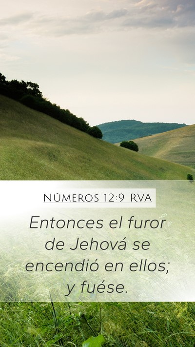 Números 12:9 RVA Mobile Phone Wallpaper - Entonces el furor de Jehová se encendió en - Mobile Bible Verse Wallpaper