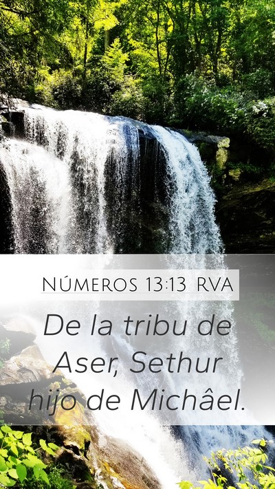 Números 13:13 RVA Mobile Phone Wallpaper - De la tribu de Aser, Sethur hijo de - Mobile Bible Verse Wallpaper