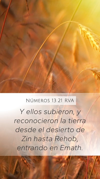 Números 13:21 RVA Bible Verse Image