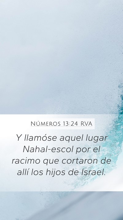 Números 13:24 RVA Bible Verse Image
