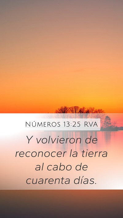 Números 13:25 RVA Mobile Phone Wallpaper - Y volvieron de reconocer la tierra al cabo de - Mobile Bible Verse Wallpaper