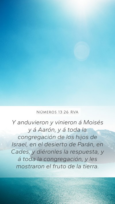 Números 13:26 RVA Bible Verse Image