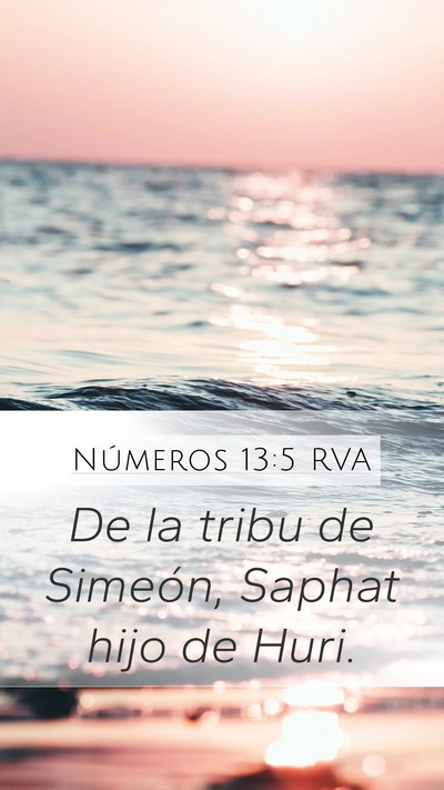 Números 13:5 RVA Mobile Phone Wallpaper - De la tribu de Simeón, Saphat hijo de - Mobile Bible Verse Wallpaper