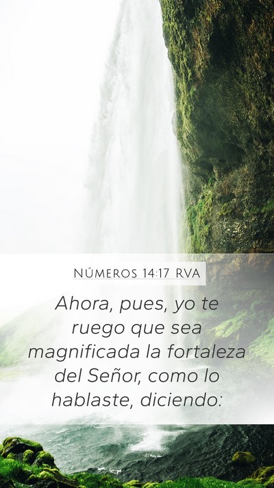 Números 14:17 RVA Mobile Phone Wallpaper - Ahora, pues, yo te ruego que sea magnificada la - Mobile Bible Verse Wallpaper
