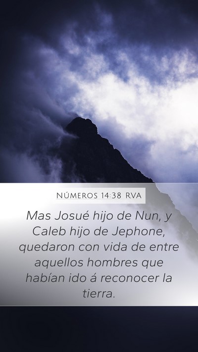 Números 14:38 RVA Bible Verse Image