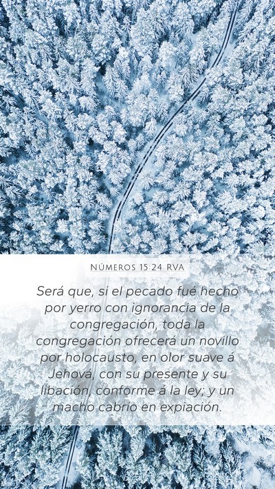 Números 15:24 RVA Bible Verse Image