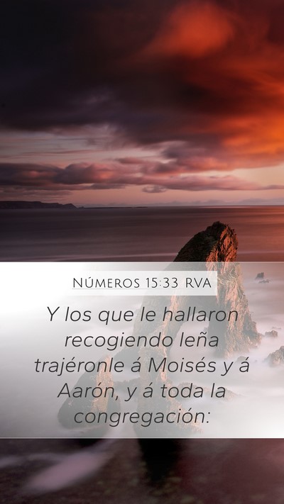 Números 15:33 RVA Bible Verse Image