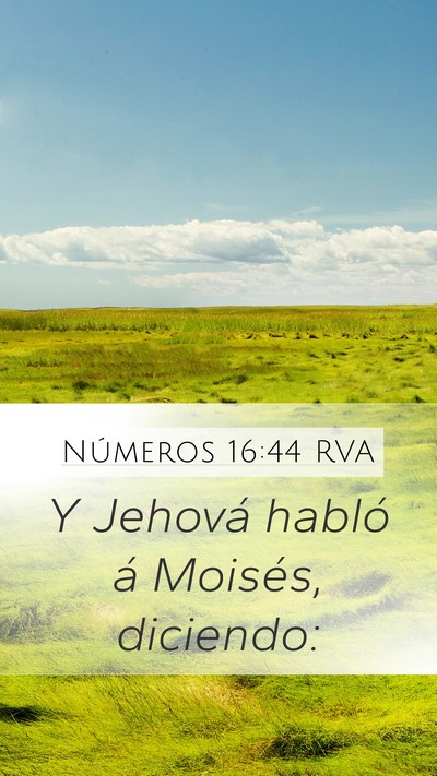 Números 16:44 RVA Bible Verse Image