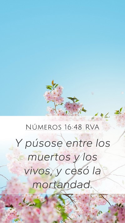 Números 16:48 RVA Mobile Phone Wallpaper - Y púsose entre los muertos y los vivos, y cesó - Mobile Bible Verse Wallpaper