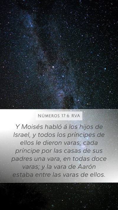 Números 17:6 RVA Bible Verse Image