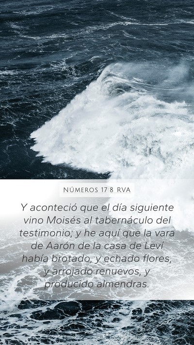 Números 17:8 RVA Mobile Phone Wallpaper - Y aconteció que el día siguiente vino Moisés - Mobile Bible Verse Wallpaper