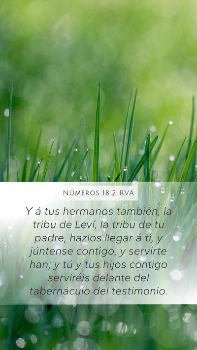 Números 18:2 RVA Bible Verse Image