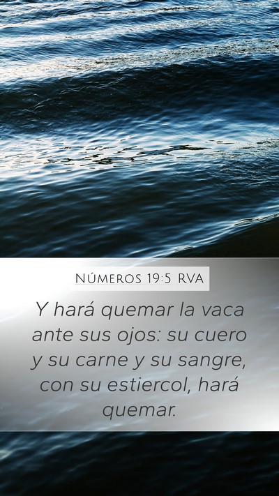 Números 19:5 RVA Mobile Phone Wallpaper - Y hará quemar la vaca ante sus ojos: su cuero y - Mobile Bible Verse Wallpaper