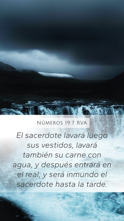 Números 19:7 RVA Bible Verse Image